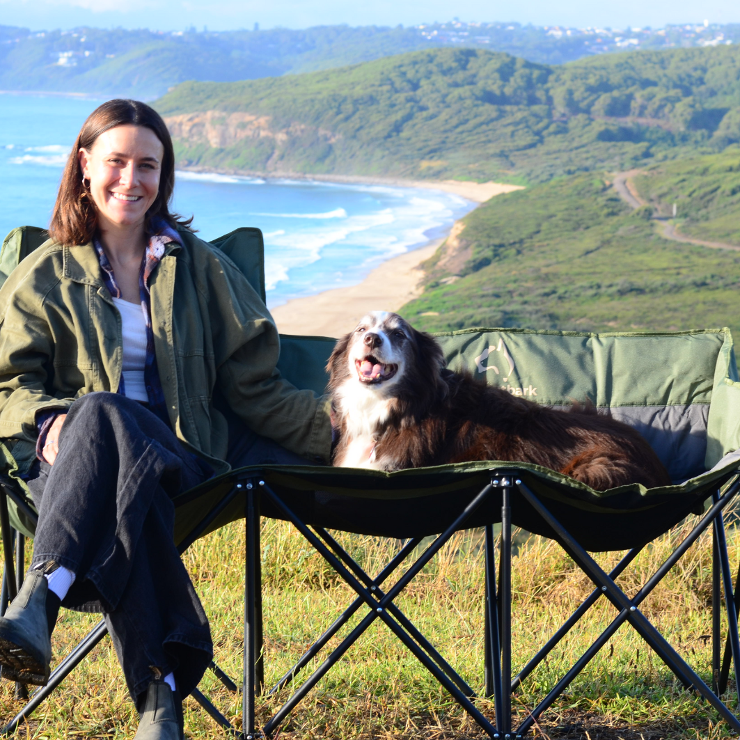 Describes the appearance of the image